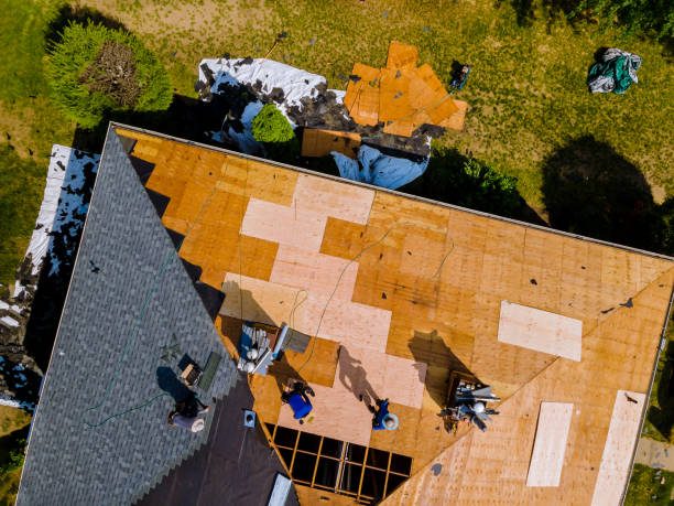 Quick and Trustworthy Emergency Roof Repair Services in Jensen Beach, FL